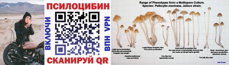 Галлюциногенные грибы Psilocybe  где купить наркоту  Нариманов 